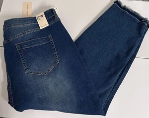 Neu mit Etikett $ 109 Vince Camuto Ankle Skinny Jeans blau freigegeben roher Saum plus 26W Stretch - Bild 1 von 8