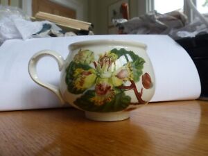 Portmeirion Pottery Pomona Coffee Mug. The Hazel Nut. A/F.