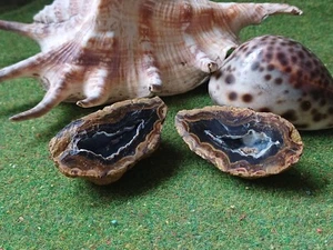 Fluoreszenz Achatquarz Edelstein Geode Paar 66g - Bild 1 von 3