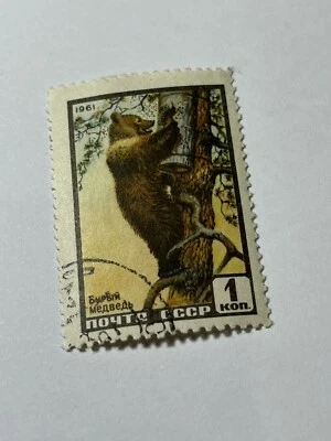 Vintage- Selo Russo, União Soviética/CCCP 1961 - Urso Marrom - Frete Grátis - Imagem 1 de 4