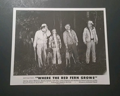 Vtg 1974 Where the Red Fern Grows Press Photo w/ Little Ann & Old Dan Paw Stamps - Image 1 of 4