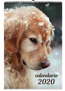 Cani Dogs Calendario Da Parete 2020 BYBLOS