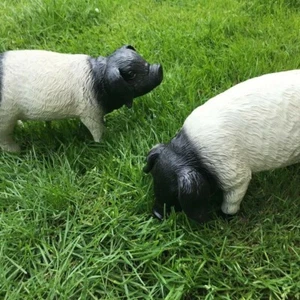 Pair of Black and White Pigs Baby Pig Piglet Garden Ornament - Picture 1 of 1