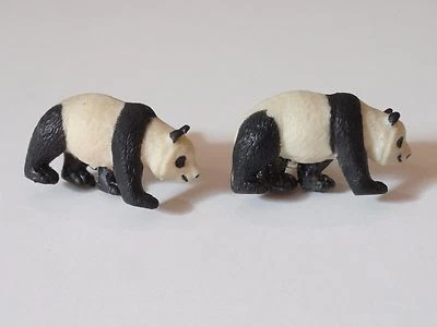 Abotoaduras de panda--ursos floresta floresta vida selvagem natureza animal asiático  - Imagem 1 de 4