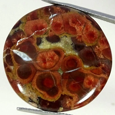 Piedra preciosa redonda de obsidiana de maní 100 % natural de 27,80 quilates 26 mm x 5 mm Foto 1 de 4