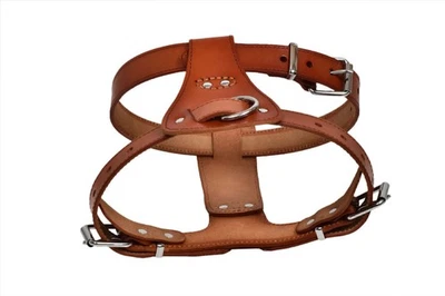 Leather Dog Harness No Pull Tie Chest Harness for French Bulldogs Q - Image 1 of 4