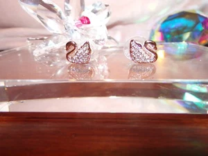 NIB SWAROVSKI #? Iconic Swan CREAM Color Stud Earrings PE Rose Gold Tone SWE - Picture 1 of 2