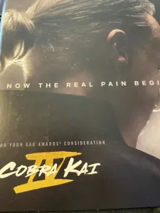 Cobra Kai IV Season 4 FYC Promo DVD Karate Kid 2021 SAG Emmy 10 Episodes RARE - Picture 1 of 6
