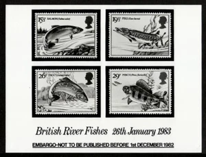 Photo Essay, GB Sc1011-4 River Fish, Salmon, Pike, Trout, Perch. - Picture 1 of 1