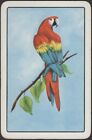 Playing Cards 1 Single Card Old Vintage ** MACAW PARROT ** Bird Artist Picture B