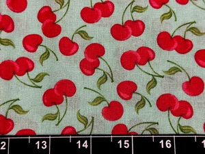 Tina Scrap 9"x21" Cherry Fruit Aqua Food Red FABRIC COTTON - Picture 1 of 1