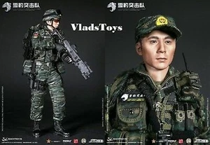 Chinese Armed Force Snow Leopard Commando Team Member Dam Toys 1/6 78052 USA - Bild 1 von 10