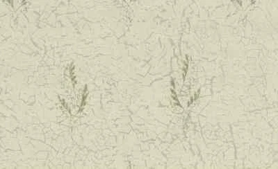 Wallpaper Leaf Antonina Vella Gray Taupe Crackled AF9536 Double Rolls - Image 1 of 2