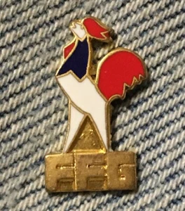 Pin Francia FFG Federación Francesa de Gimnasia ~ no olímpico - Imagen 1 de 2