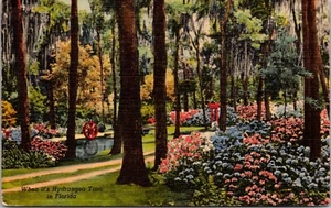 Vintage Postcard Linen Blooming Hydrangea Florida Trees Colorful Orlando FL - Picture 1 of 2