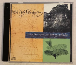 Poi Dog Pondering – Wishing Like A Mountain And Thinking Like The Sea CD 1990 - Picture 1 of 3