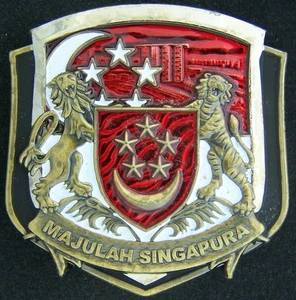 Marine Corps Security Guard Detachment MSG Singapore Challenge Coin - Picture 1 of 2