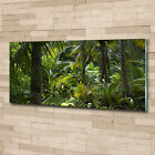Tulup Acrylic Glass Print Wall Art Image 125x50cm - Tropical forest