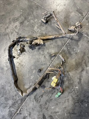 Arnés de cableado Suzuki Ozark 250 2004 Foto 1 de 4
