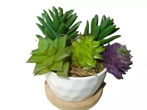 Decorative Artificial Mini Succulent Plants White Ceramic Planter - Picture 1 of 4