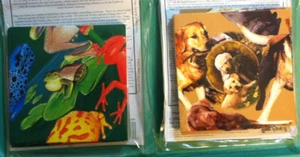 New 🔥RETRIEVERS & FROGS🔥 Scramble Squares Puzzles *Easy to Play Hard to Solve* - Picture 1 of 8