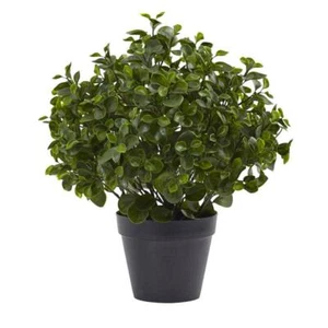 Nearly Natural Peperomia Artificial Plant 23" H Indoor/Outdoor W/UV Resistant - Picture 1 of 3