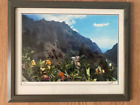 Framed Print Masca Tenerife Mountain Flowers Green Frame 33.5cm x 27.5cm