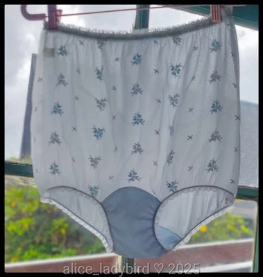 FANTASÍA BRAGAS TRANSPARENTES De Colección Años 50 Sedosas Todo NYLON Floral Granny Refuerzo ~L/7 Foto 1 de 4