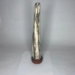 Petrified Wood, Fossil Wood Specimen, Freestanding Wood Stump Indonesia 307mm - Picture 1 of 5