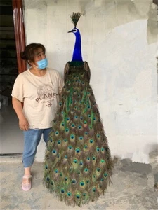big simulation beautiful peacock model foam&feather peacock bird about 150cm - Bild 1 von 3