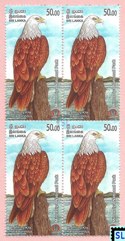 Estampillas de Sri Lanka 2025, Parque Nacional Minneriya, Águila, Pájaros, MNH, 1 de 10 V Foto 1 de 1