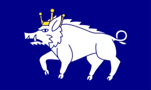 Flagge von Kingswinfo - hochwertigstes Flaggenmaterial schnelle Bearbeitung versch. Größen - Bild 1 von 7