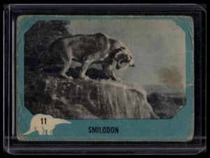 1961 Nu-Cards Dinosaur Series #11 Smilodon - Picture 1 of 2