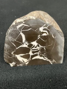 Septarian Lightning Stone Michigan Rough for Cabbing, Book End or Display - Picture 1 of 5