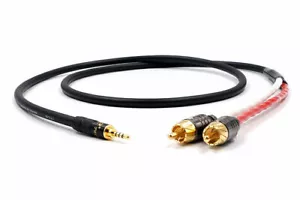 TRRS Balanced 2.5mm to 2 RCA Male Audio Cable For Cayin N5 Iriver AK240 AK380 - Picture 1 of 3