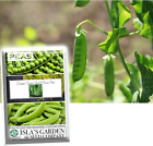 Oregon Sugar Pod Ii Snow Pea Seeds For Planting, 50+ Heirloom Seeds Per Packet,