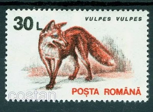 1993/1995 Red Fox,Rotfuchs,Zorro,Renard,Romania,4905 Y-WP,Watermark-variety,MNH - Picture 1 of 3