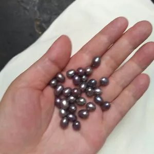 12 Stck. eine 10x7 mm Natürliche Südsee Echte Schwarze Lose Perle Halb Gebohrt - Bild 1 von 10