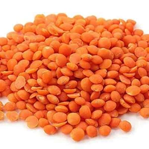 Masoor Pulse ( Masoor Dal) Dry pulse organic standard quality Red Pulse - Picture 1 of 5