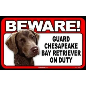 Beware Guard Dog On Duty Sign - Chesapeake Bay Retriever (8” X 5”) - Picture 1 of 4