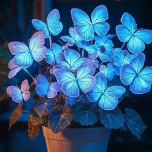 50pcs plants of plants hosta plantaginea garden perennial flowers blue 1 - Picture 1 of 6