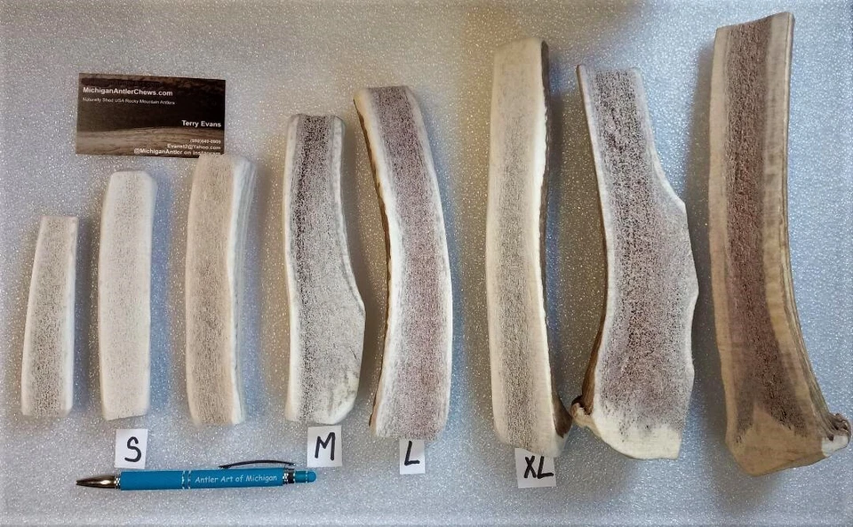 MICHIGAN ANTLER CHEWS Split Fresh ELK Antler Dog Chews -Marrow DogTreats Chews -Pick your size