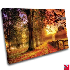 AUTUMN TREES MORNING NATURE CANVAS Wall Art Picture Print - Picture 1 of 3