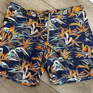 Patagonia Pataloha Mens 40 Wavefarer Surf Boardshorts Swim Trunks Sailing  - Picture 1 of 8