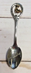 Cuchara con dije de recuerdo del estado de Alaska - Imagen 1 de 5