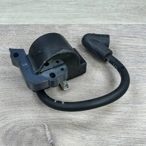 Genuine Walbro Homelite Ignition Module AM42 - Picture 1 of 3
