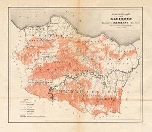 Antique Map of the Djati Forest of Java by Stemler (c.1875) - Picture 1 of 1