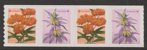 Canada 3414-3415 3415a Wildflowers P coil strip 4 B MNH 2024 - Picture 1 of 1