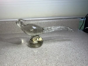 H991~ Tiffan Francisican Clear w/Controlled Bubbles PERSIAN PHEASANT 6.5" X 12" - Picture 1 of 5