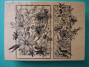 Gorgeous Detailed Daisy/Cone Flowers Framed, X-Large MAGENTA Rubber Stamp - Picture 1 of 2